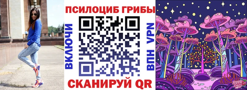 Галлюциногенные грибы Psilocybine cubensis  Лысково 